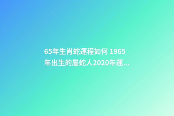 65年生肖蛇運程如何 1965年出生的屬蛇人2020年運勢-第1張-觀點-玄機派